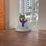 Volcanic Flow Rock Planter - Arrow Volcano