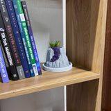 Volcanic Flow Rock Planter - Crescent volcano