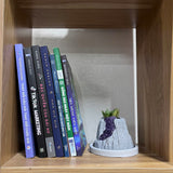 Volcanic Flow Rock Planter - Crescent volcano
