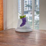 Volcanic Flow Rock Planter - Crescent volcano