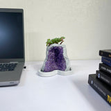 Amethyst Crystal Planter
