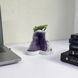 Amethyst Crystal Planter