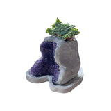 Amethyst Crystal Planter