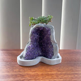 Amethyst Crystal Planter
