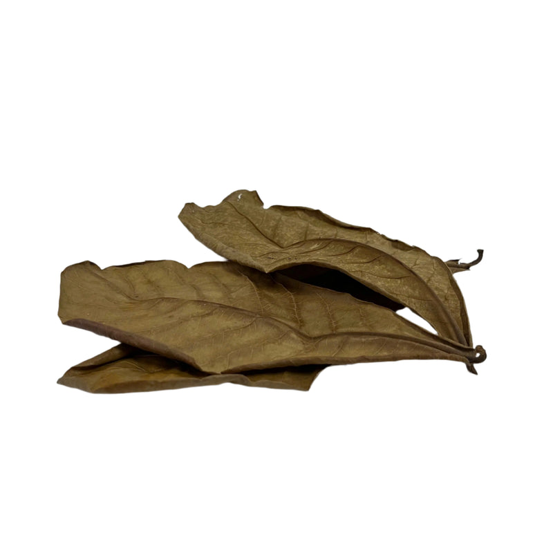 10 pcs Natural Dried Almond Leaves 🐠🍂