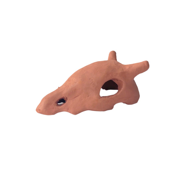 The Aquarium Decoration Product (Skullcap)
