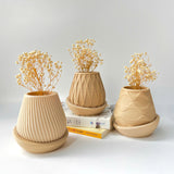 Minimalist Fluted Planter Pot - Set of 3