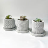 Concrete Plant Pots - Set of 3