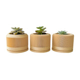 Tall Textured Plant Pot - Set of 3