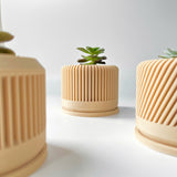 Tall Textured Plant Pot - Set of 3