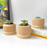 Tall Textured Plant Pot - Set of 3