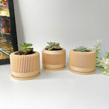 Tall Textured Plant Pot - Set of 3