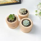 Tall Textured Plant Pot - Set of 3