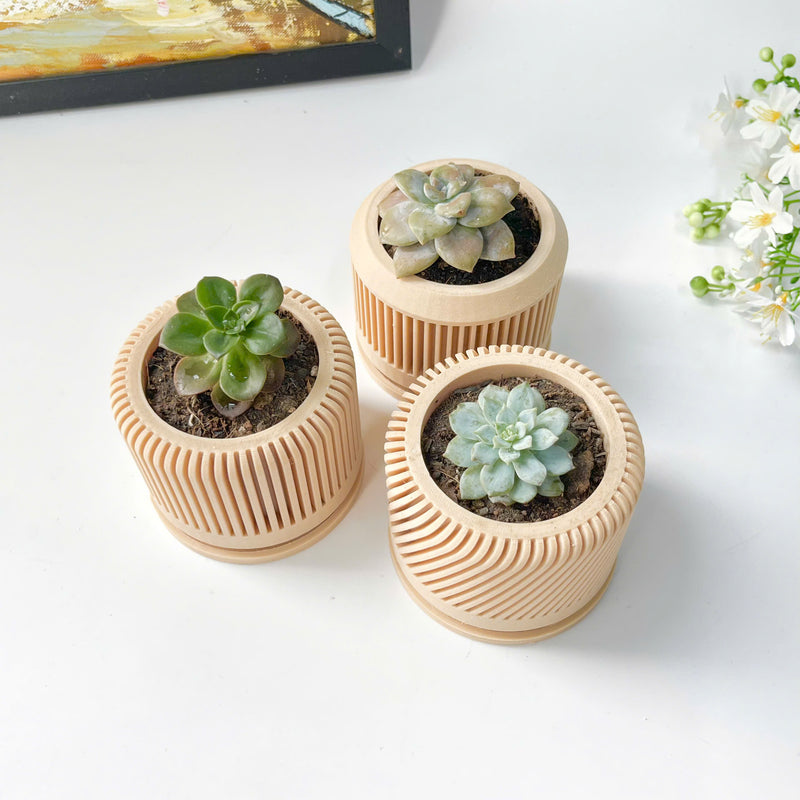 Tall Textured Plant Pot - Set of 3
