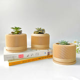 Tall Textured Plant Pot - Set of 3