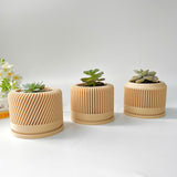 Tall Textured Plant Pot - Set of 3