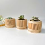 Tall Textured Plant Pot - Set of 3