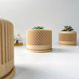 Tall Textured Plant Pot - Set of 3