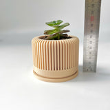 Tall Textured Plant Pot - Set of 3