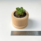Tall Textured Plant Pot - Set of 3