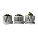 Spiral plant pot - Set of 3