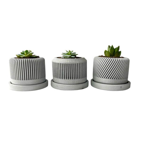 Spiral plant pot - Set of 3