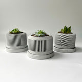 Spiral plant pot - Set of 3