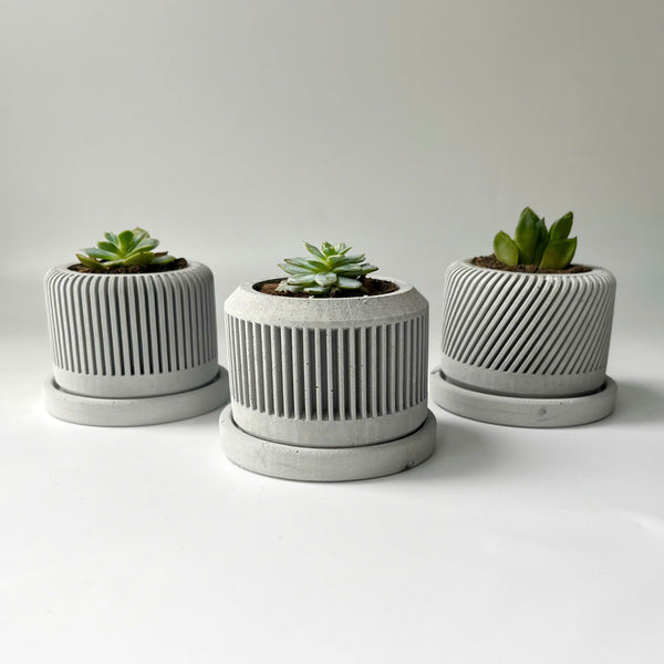 Spiral plant pot - Set of 3
