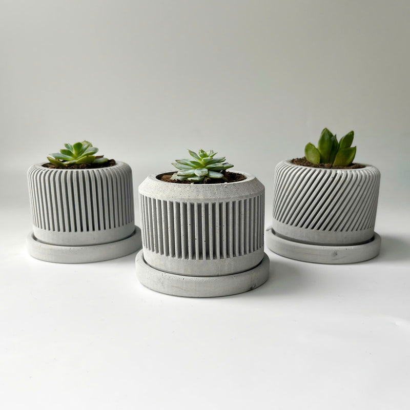Spiral plant pot - Set of 3