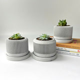 Spiral plant pot - Set of 3