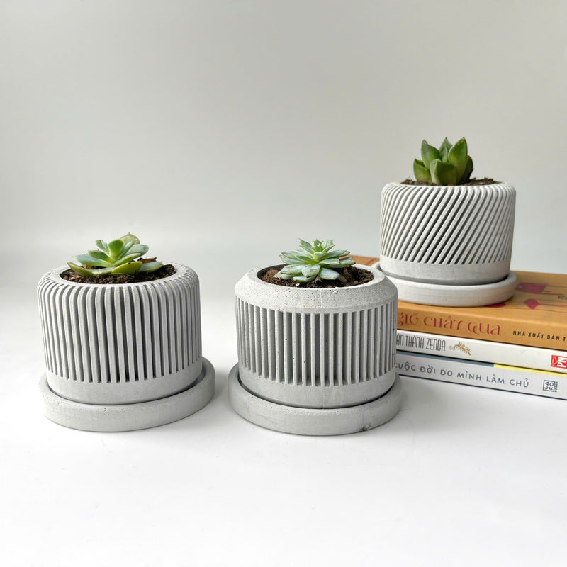 Spiral plant pot - Set of 3