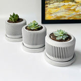 Spiral plant pot - Set of 3