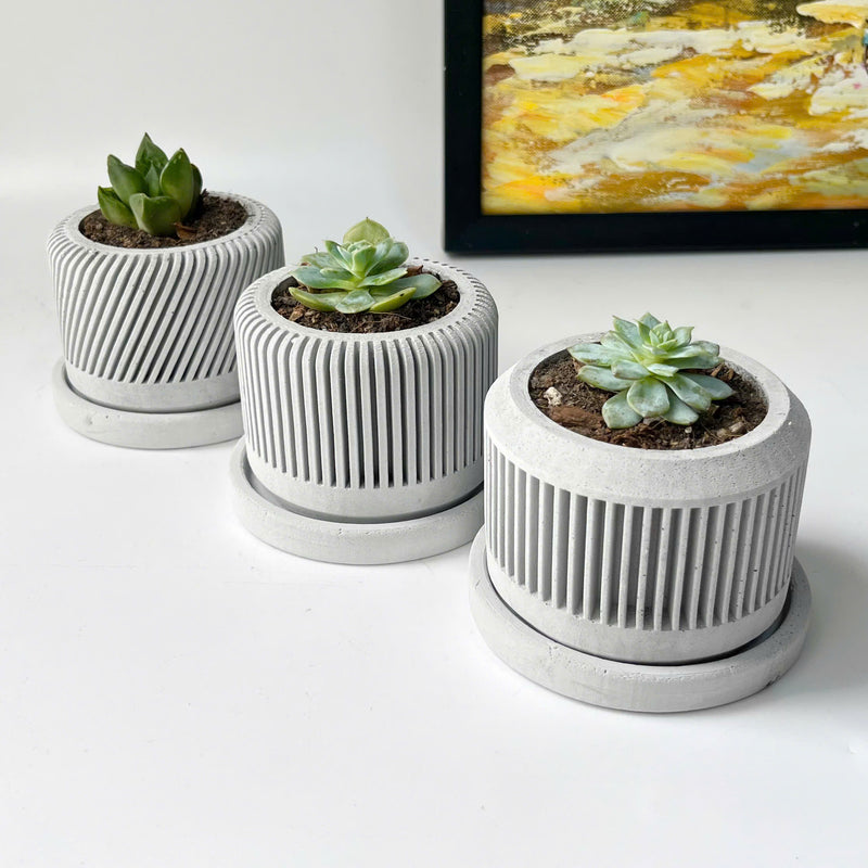 Spiral plant pot - Set of 3