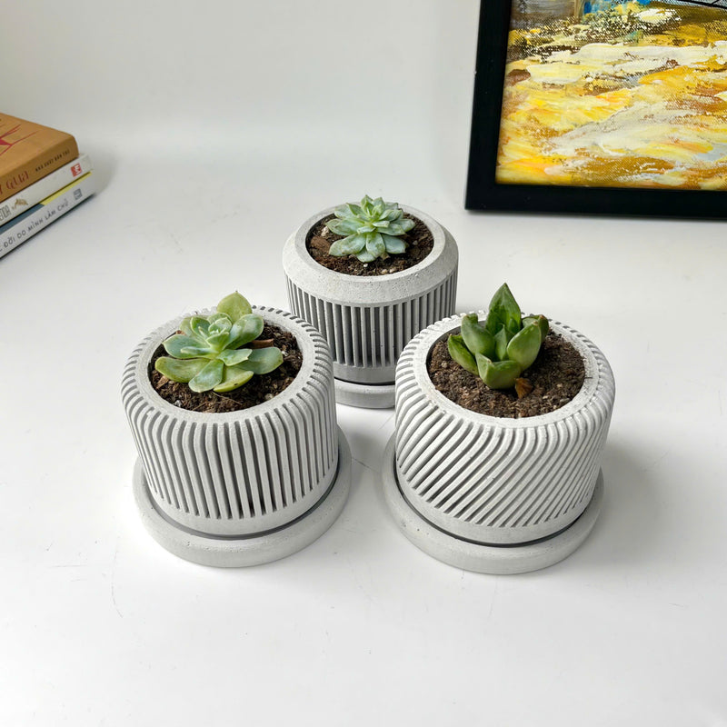 Spiral plant pot - Set of 3