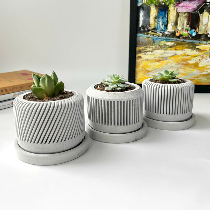 Spiral plant pot - Set of 3