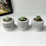 Spiral plant pot - Set of 3