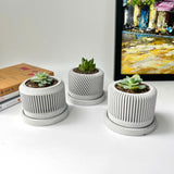 Spiral plant pot - Set of 3