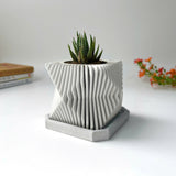 Succulents Plants Live in Modern Pot - Live Succulents Randomly Picked