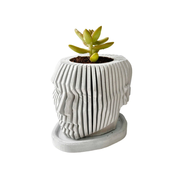 Random 2" Succulent In Concrete Human Face Planter