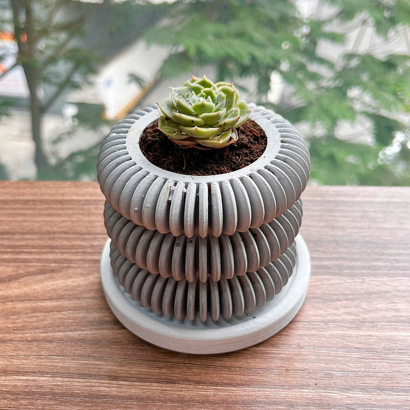 Concrete 3-tier spiral planter