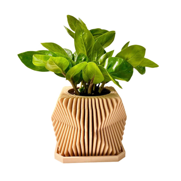 Contemporary Plant Pot (big size)