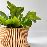 Contemporary Plant Pot (big size)