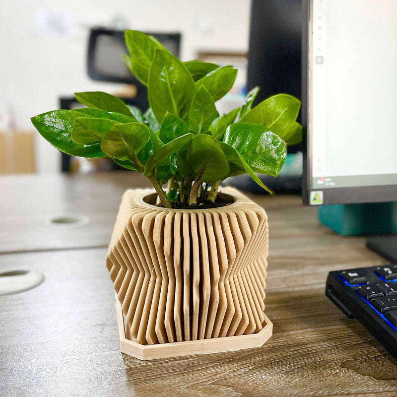 Contemporary Plant Pot (big size)