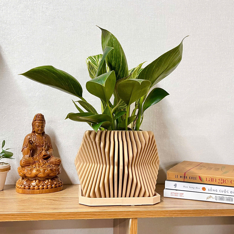 Contemporary Plant Pot (big size)