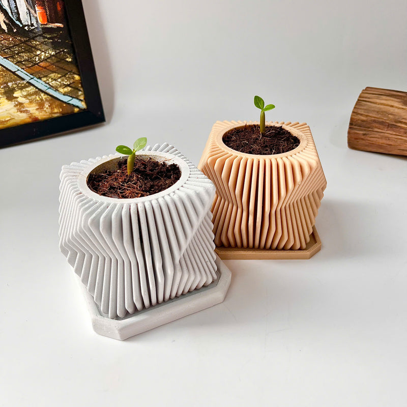 DIY Planting Set - Desert Rose Flower - Grow Green, Feel Good