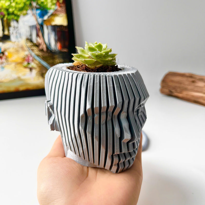 Human Face Planter (Gray)