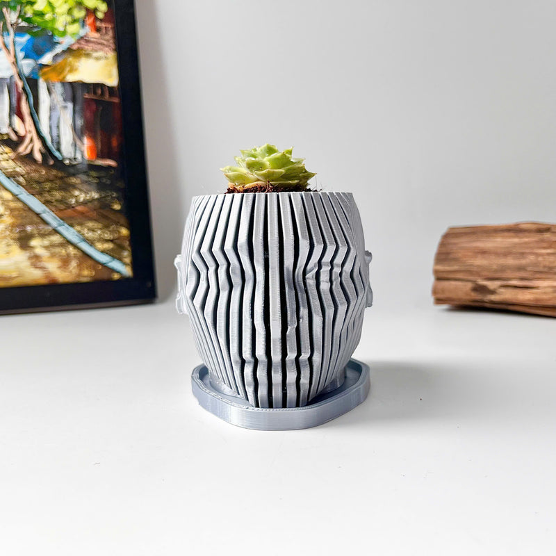 Human Face Planter (Gray)