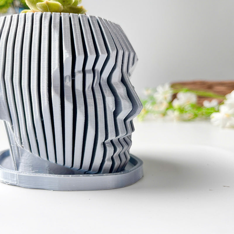Human Face Planter (Gray)