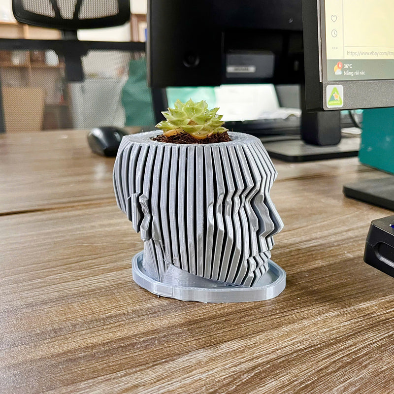 Human Face Planter (Gray)