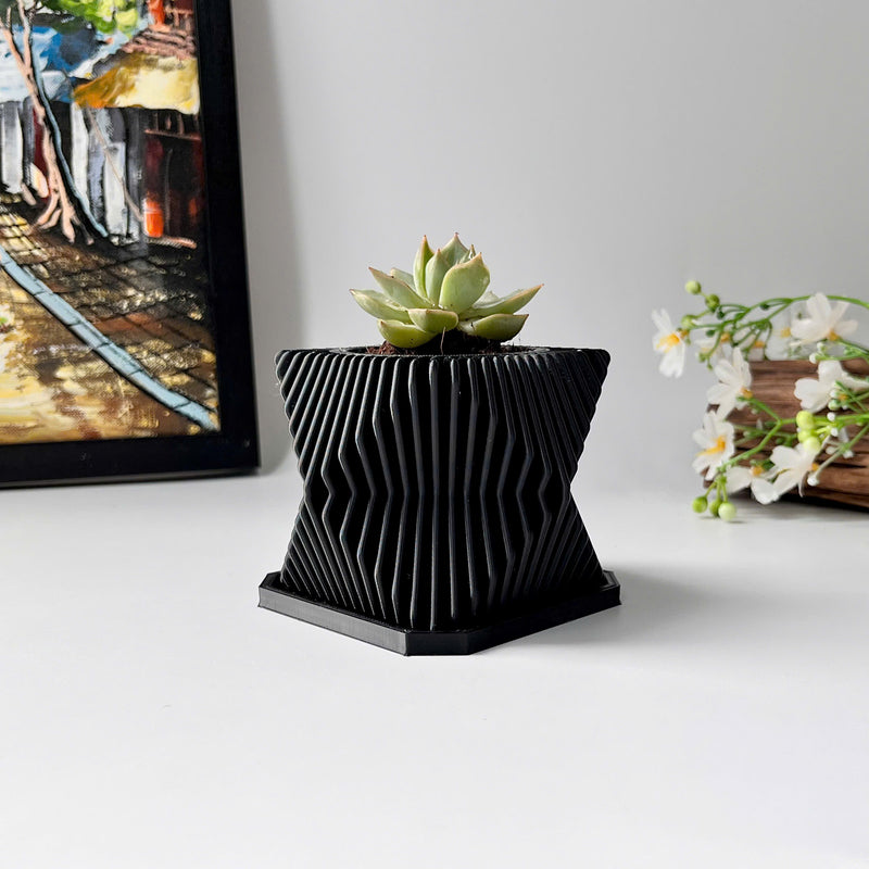 Live Succulents Plants in Geometric plant pot - Live Succulents Randomly Picked